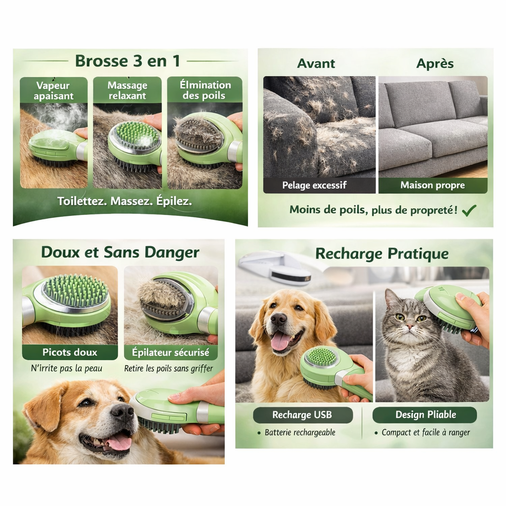 Brosse de massage et de massage 3 en 1 pour chats et chiens