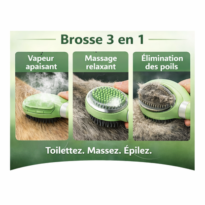 Brosse de massage et de massage 3 en 1 pour chats et chiens
